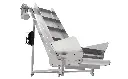Elevating conveyor